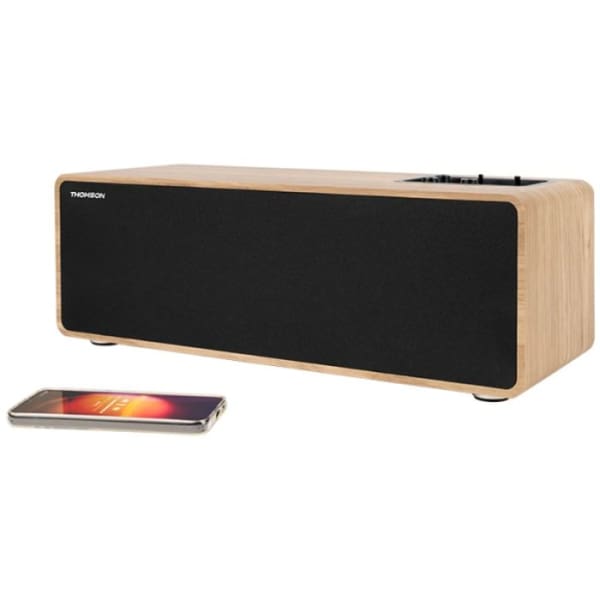 ENCEINTE THOMSON Résidentielle Cosy bois (WS852)