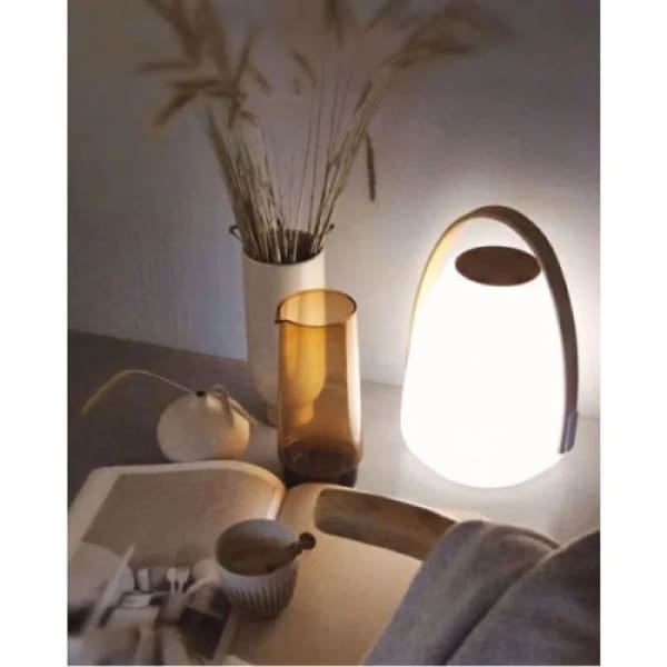 Haut Parleur Mooni Andale Bluetooth – (ANS_1520_001)